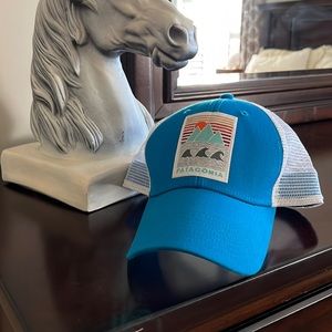Patagonia Trucker Hat